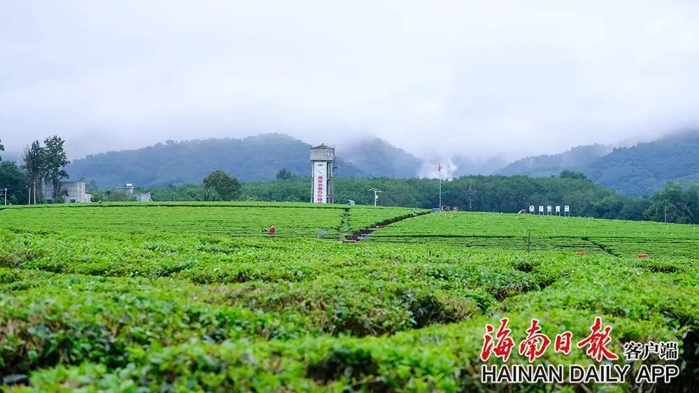 新时代 新征程2.jpg